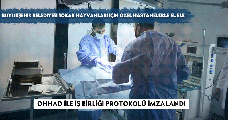 BÜYÜKŞEHİR SOKAK HAYVANLARININ SAĞLIĞI İÇİN ÖNCÜ OLACAK