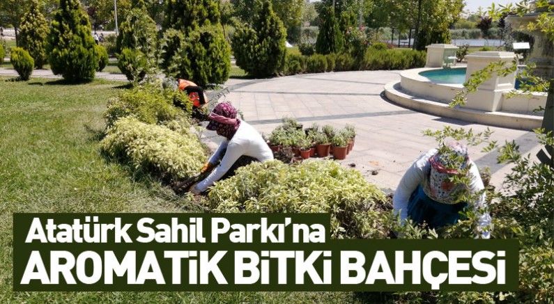 Atatürk Sahil Parkı'na Aromatik Bitki Bahçesi 