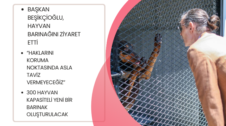 Başkan Beşikçioğlu, hayvan barınağını ziyaret etti…