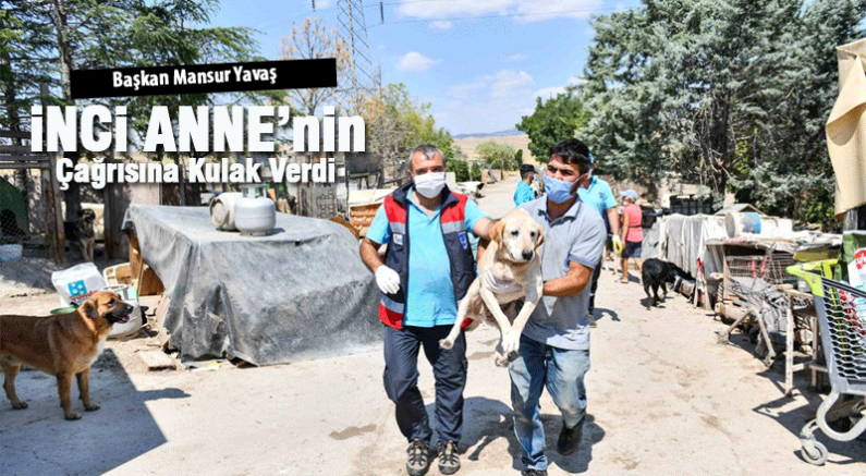 Başkan Yavaş İnci Anne'nin çağrısına Kulak Verdi