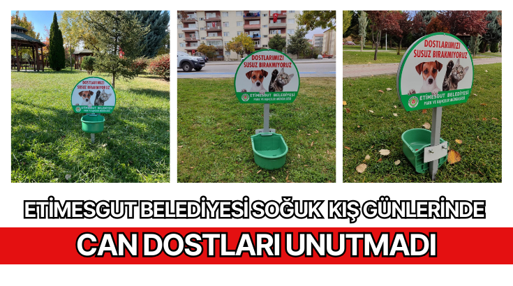 Etimesgut Belediyesi soğuk kış günlerinde can dostları unutmadı…