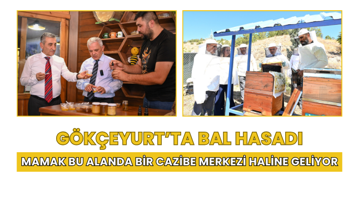 Gökçeyurt’ta bal hasadı… Mamak bu alanda bir cazibe merkezi haline geliyor…