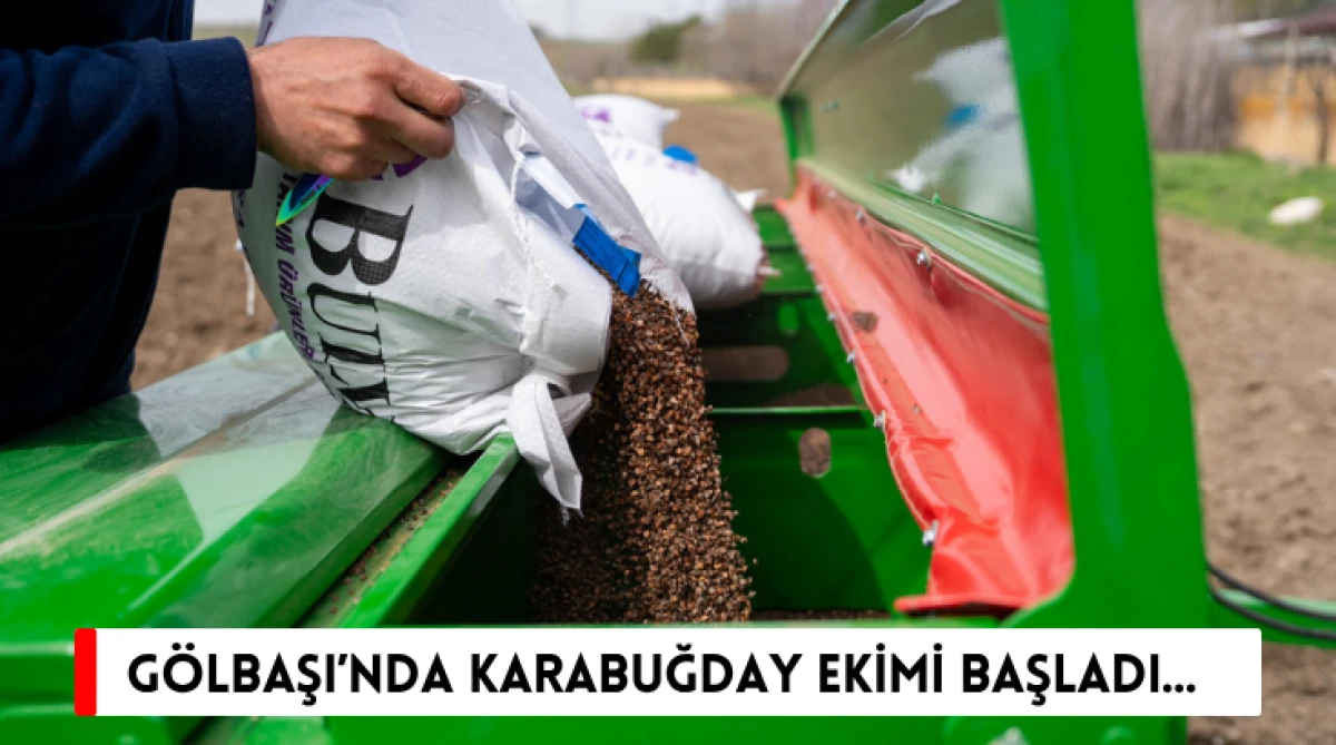 G&ouml;lbaşı&rsquo;nda Karabuğday Ekimi Başladı...