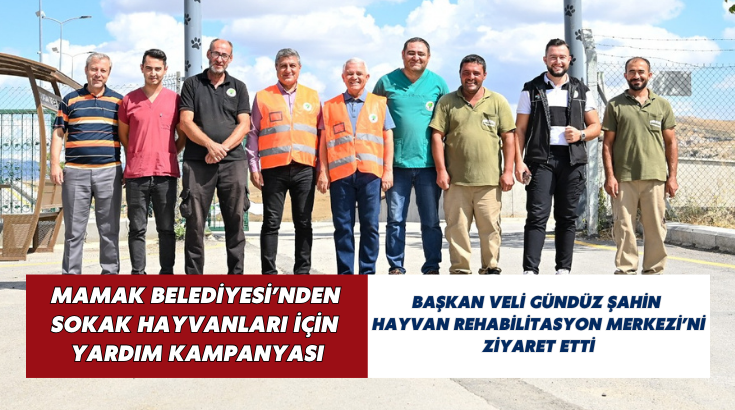 Mamak Belediyesi’nden sokak hayvanları için yardım kampanyası…