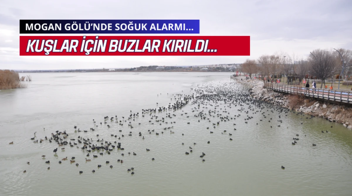 Mogan G&ouml;l&uuml;&rsquo;nde Soğuk Alarmı: Kuşlar İ&ccedil;in Buzlar Kırıldı&hellip;