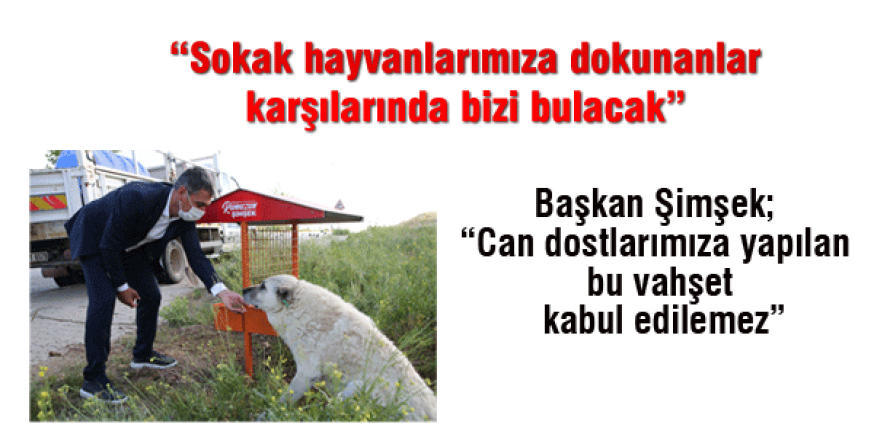 “Sokak hayvanlarımıza dokunanlar karşılarında bizi bulacak”